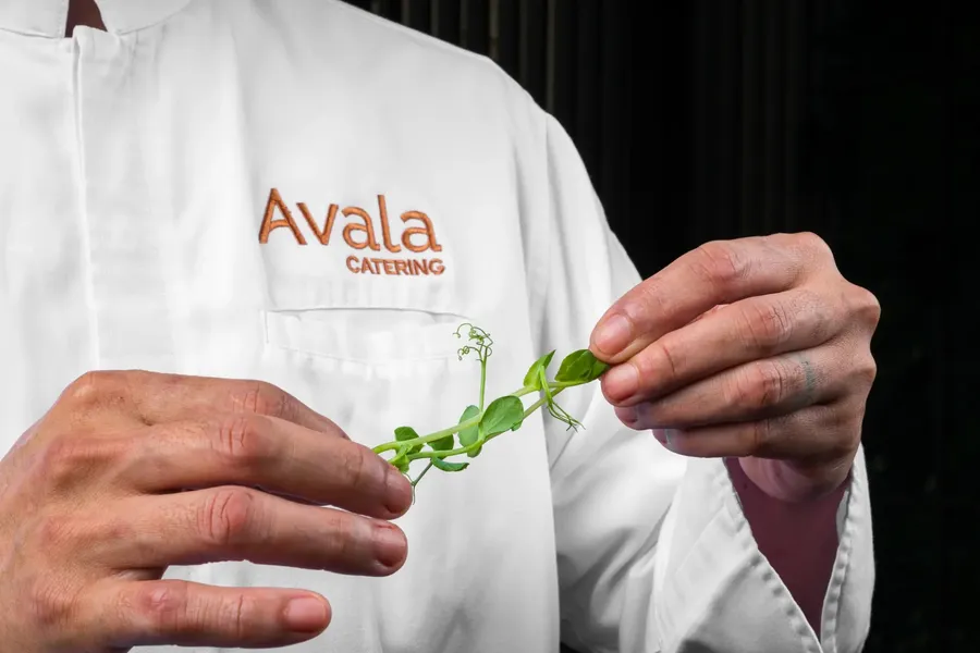 A chef in an Avala Catering uniform garnishing a dish with fresh greens.